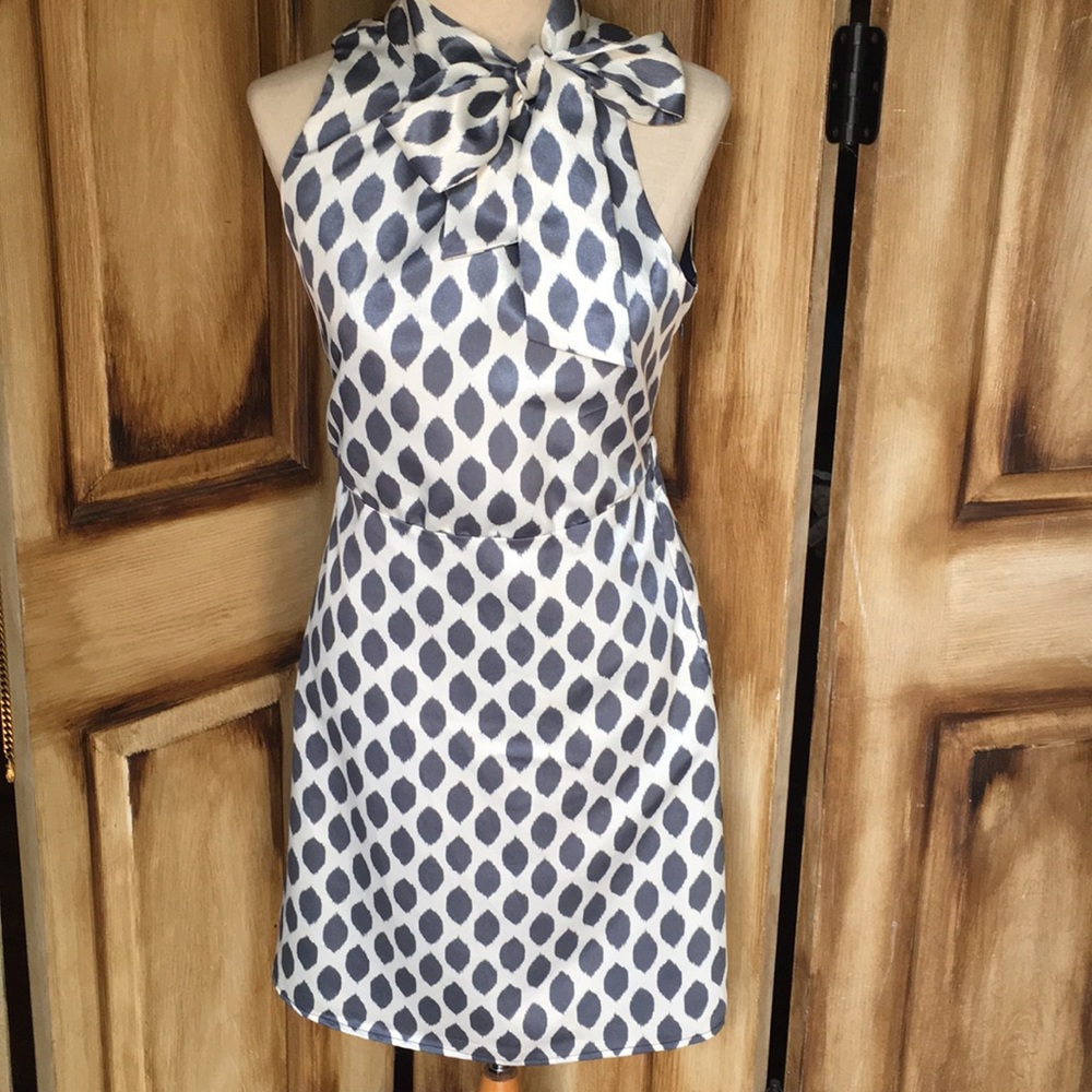 Elegant Grey and Creme Dress